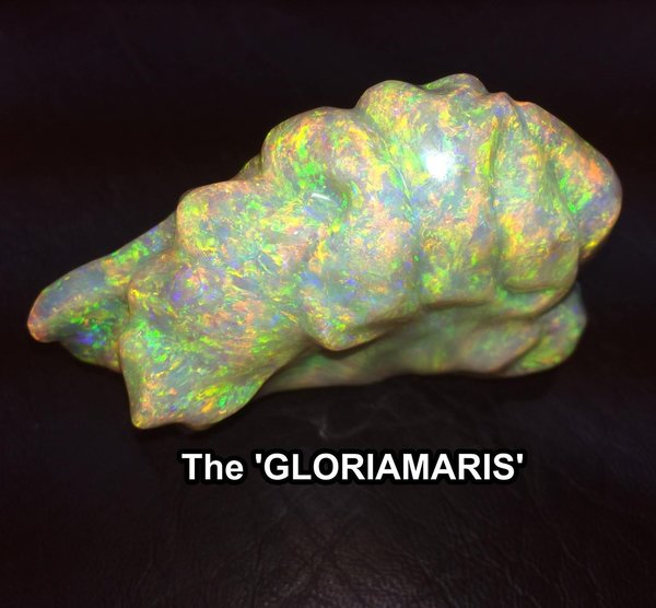 The Gloriamaris